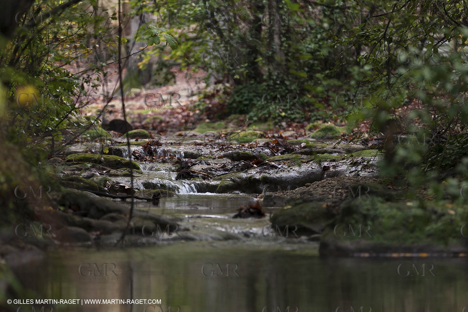 23 10 2012 - Gemenos (FRA) - Parc Départemental de la vallée de Saint Pons