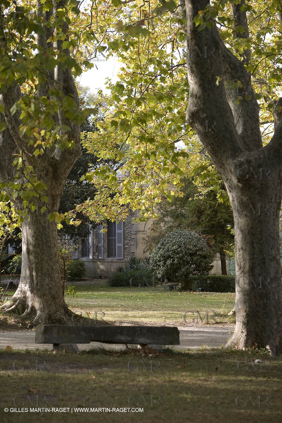 28 10 2007 - St Rémy de Provence (FRA,13) - Chateau des Alpilles