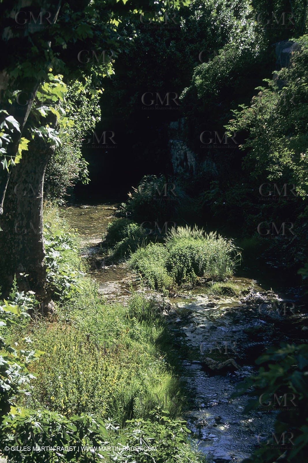 France, Provence, La sainte Baume, Provence verte, collines de Pagnol