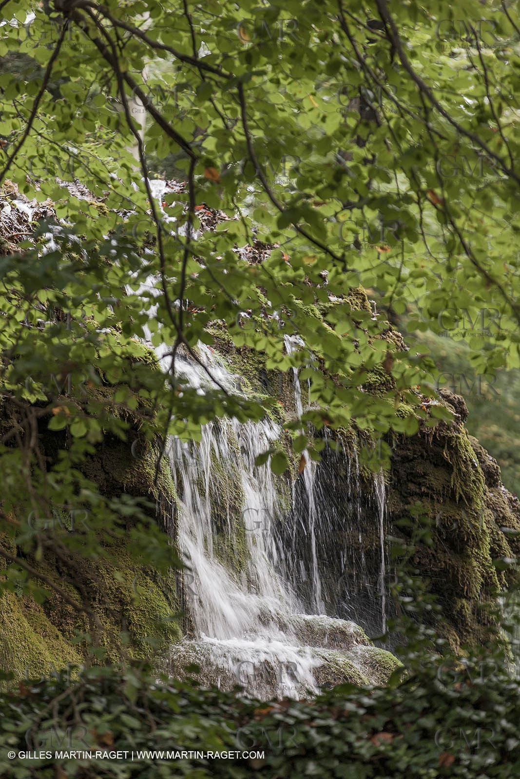 23 10 2012 - Gemenos (FRA) - Parc Départemental de la vallée de Saint Pons