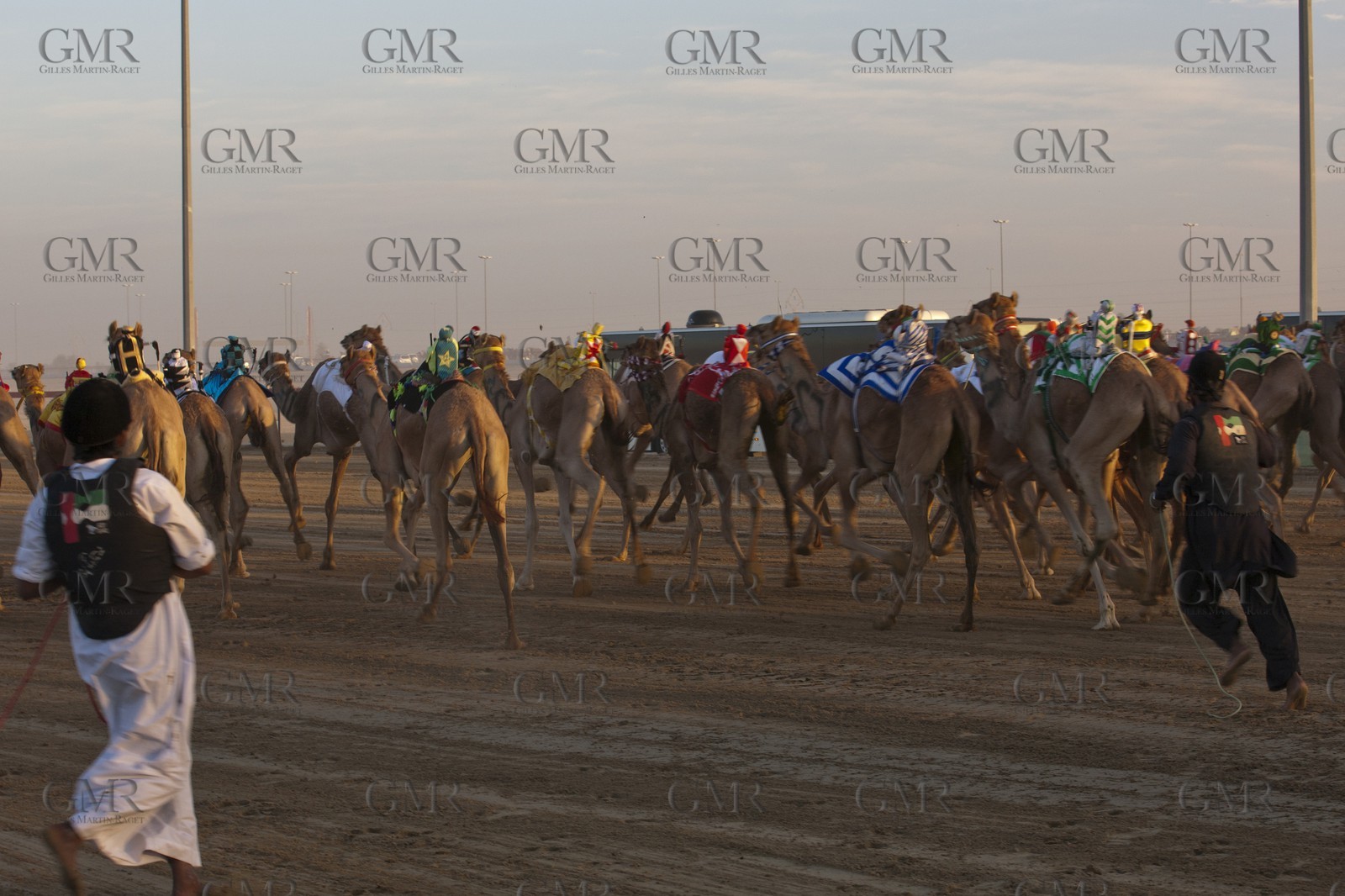 20 11 2010 - Dubai (UAE) - Camel races