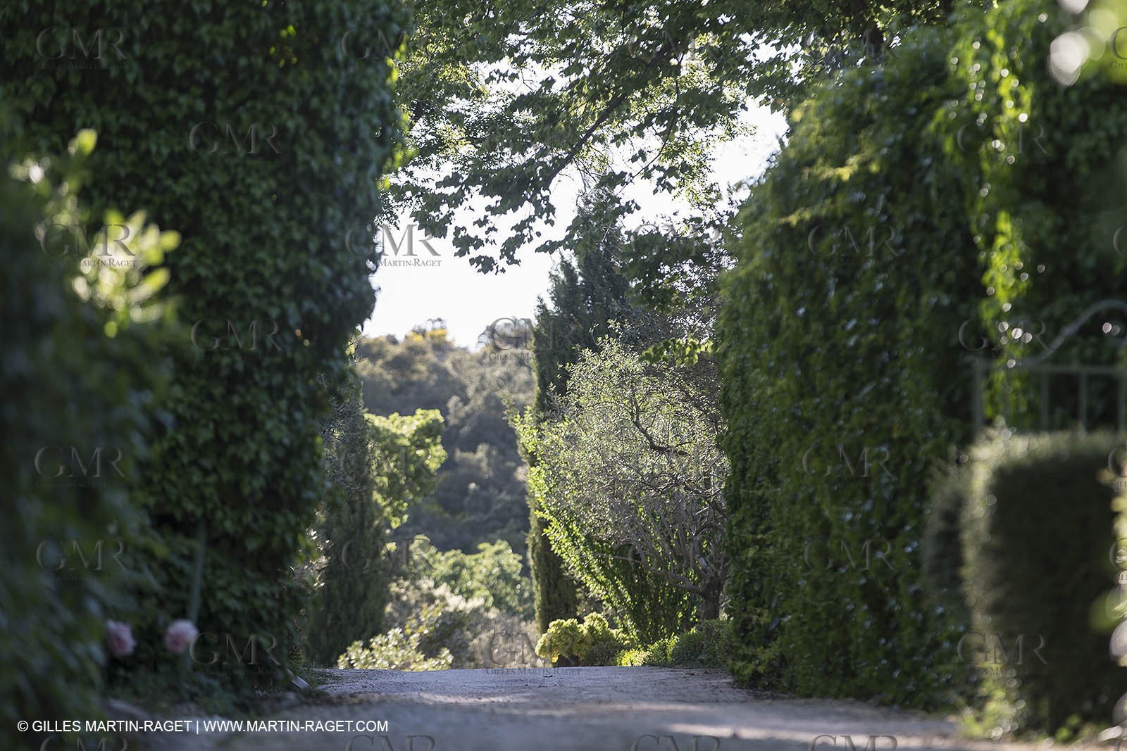 Domaine de la Baume - Tourtour (FRA,83) - 15 05 2014