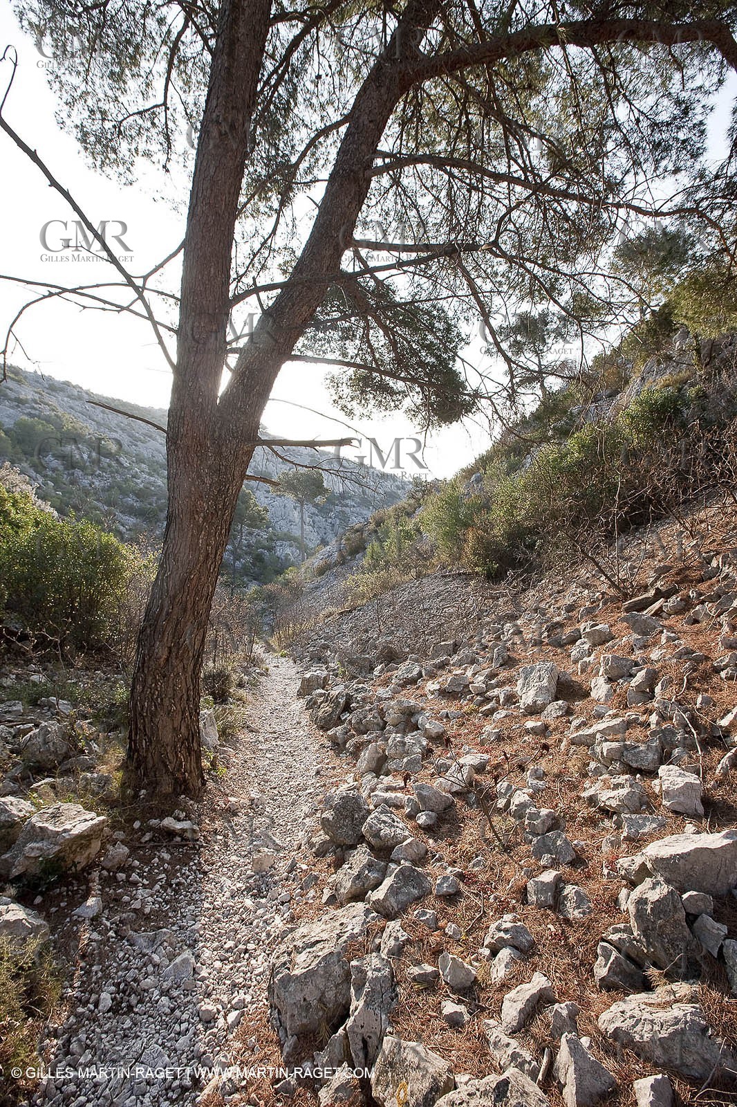 20 03 2009 - Marseille (FRA, 13) - Les Calanques - Vallon de l'oule