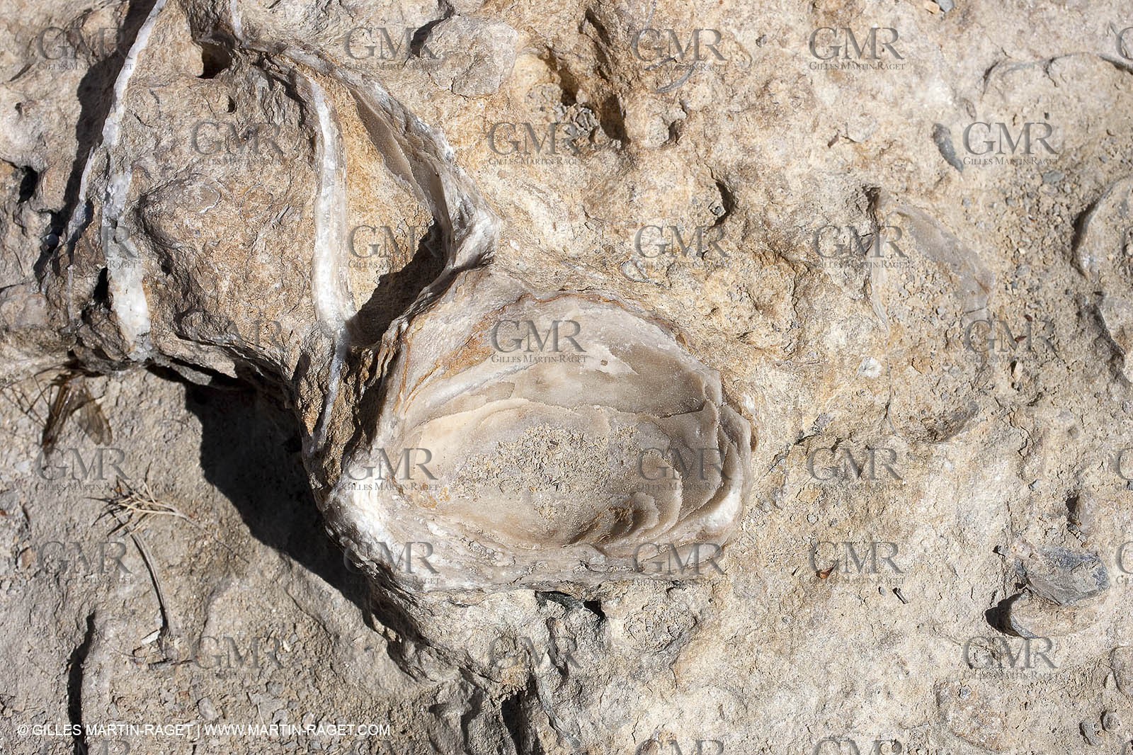 27 03 2009 - Marseille (FRA, 13) - Les Calanques - Morgiou
