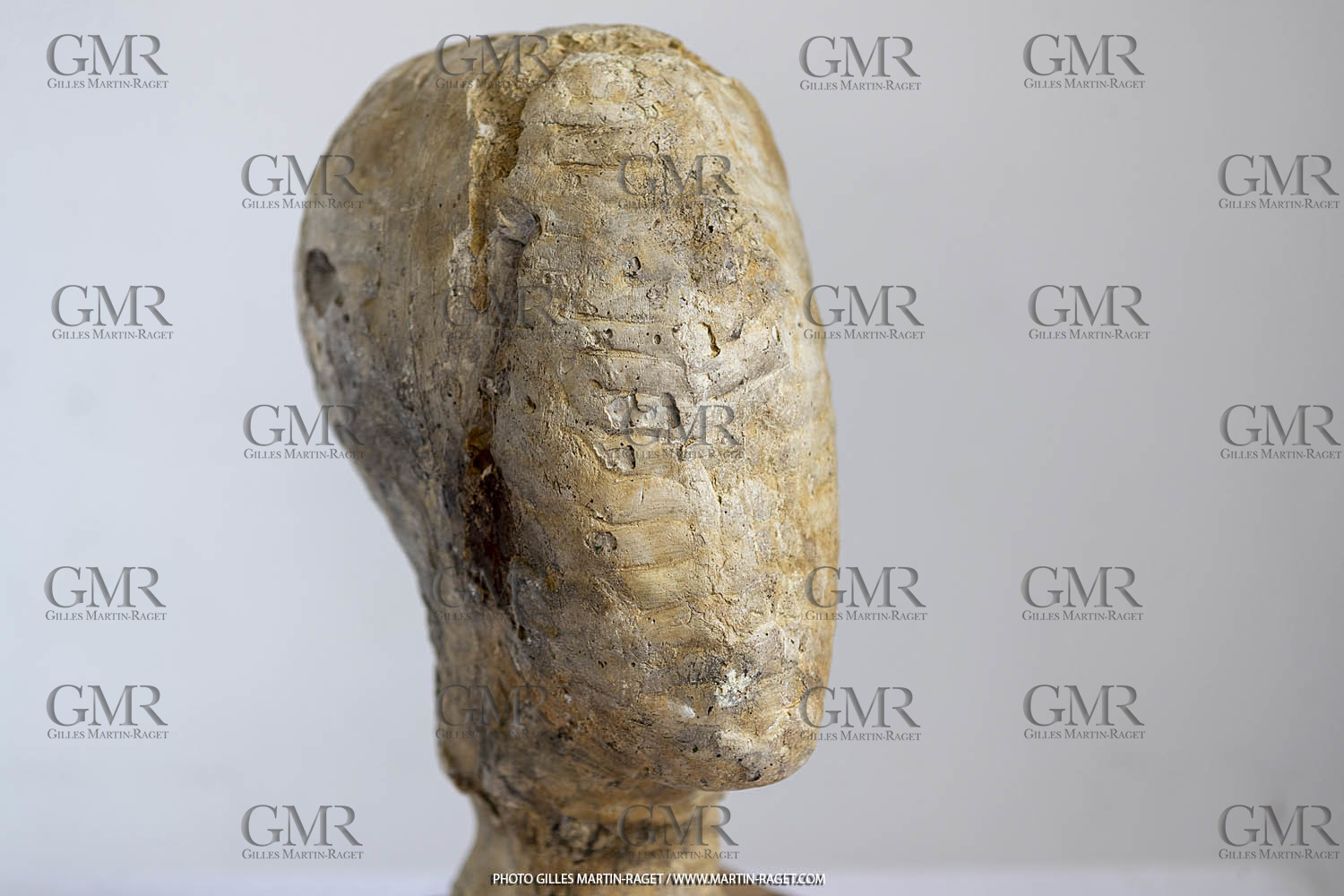 Oeuvre Germaine Richier, Plâtre buste n° 12, dit 'Le Tatou , 1934