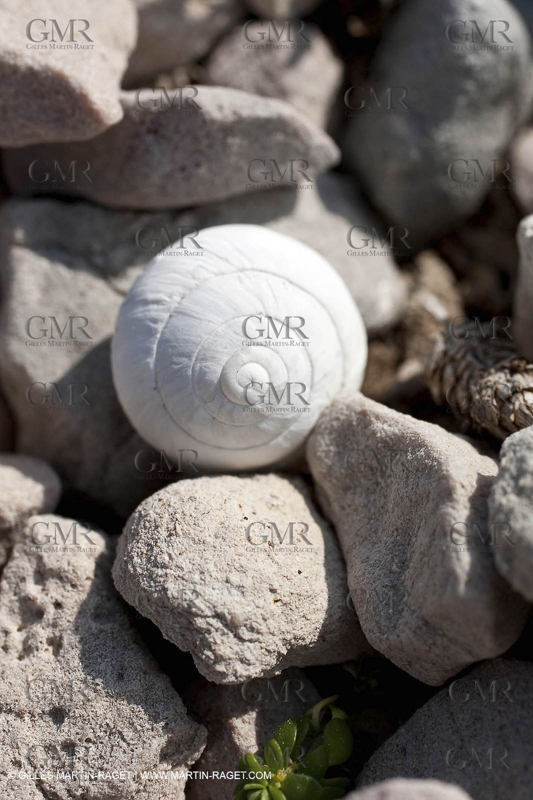 19 03 2009 - Marseille (FRA, 13) - Calanques