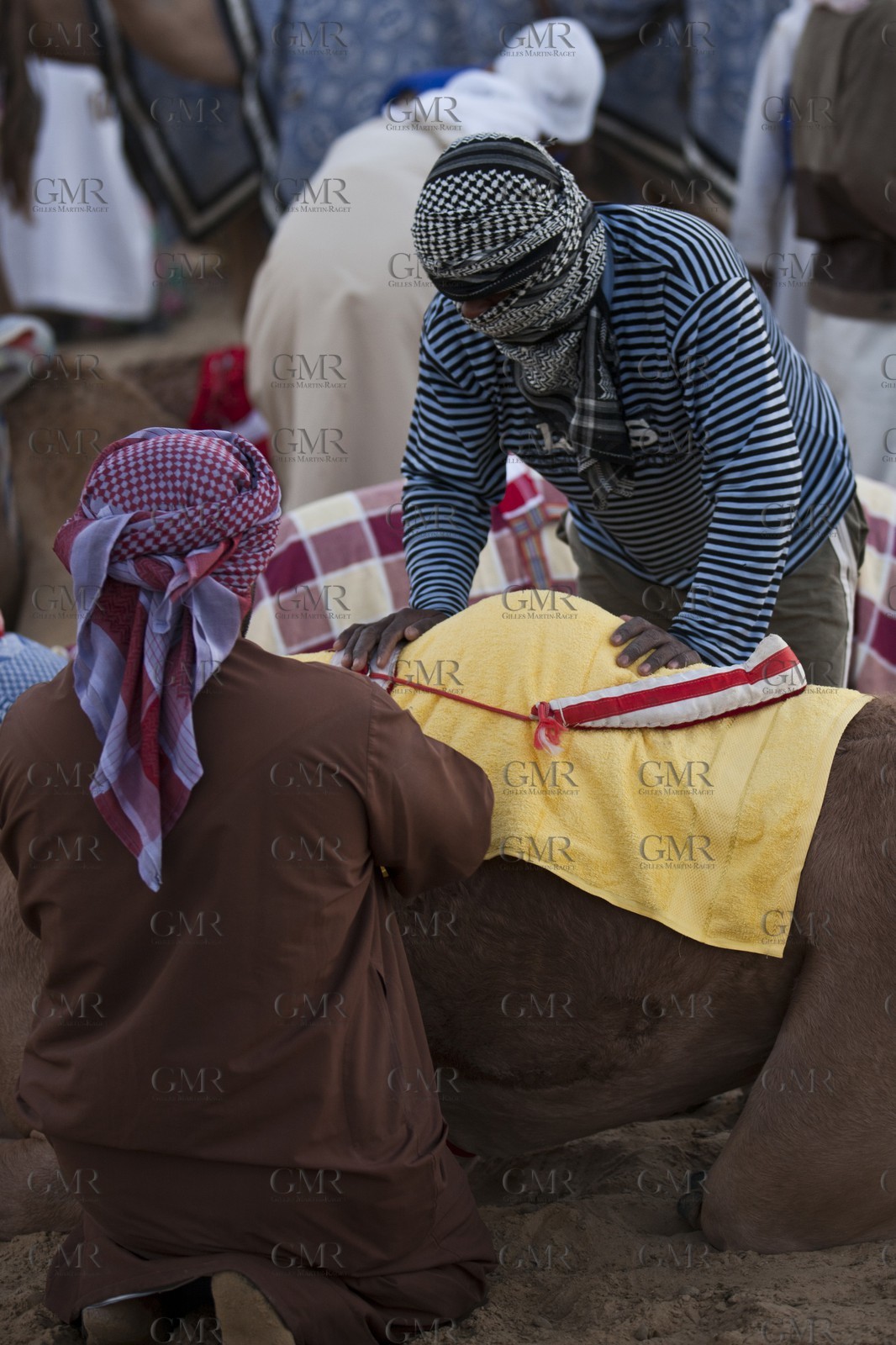 20 11 2010 - Dubai (UAE) - Camel races