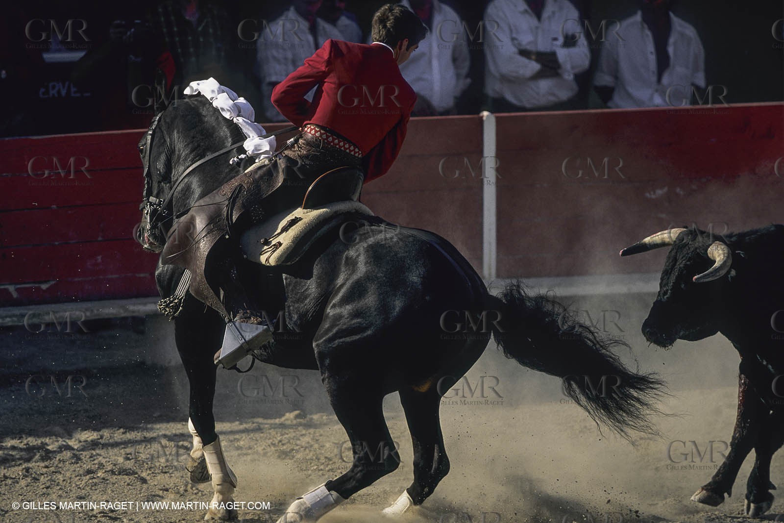 France, Provence, Traditions, Tauromachie, bull fights