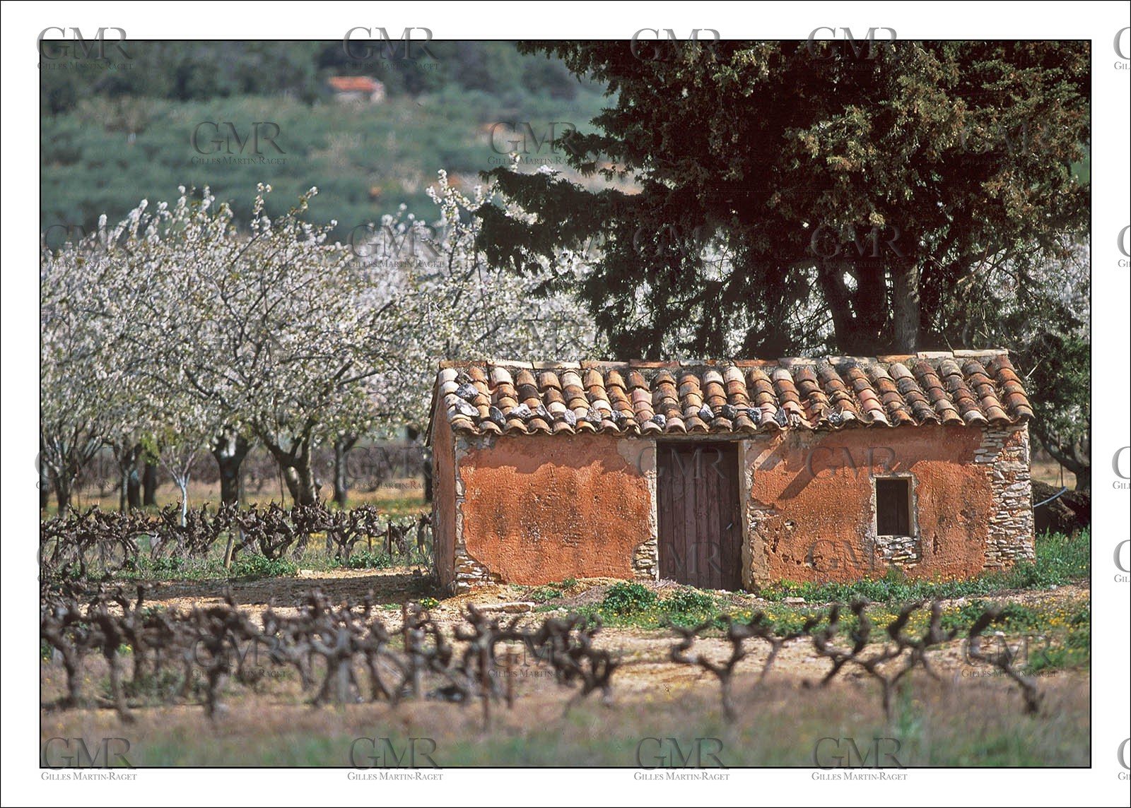 Spring Cant 1