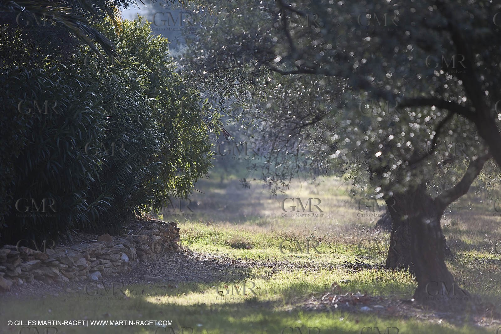 Saint Drézéry (FRA, 34), Domaine de Puech Haut