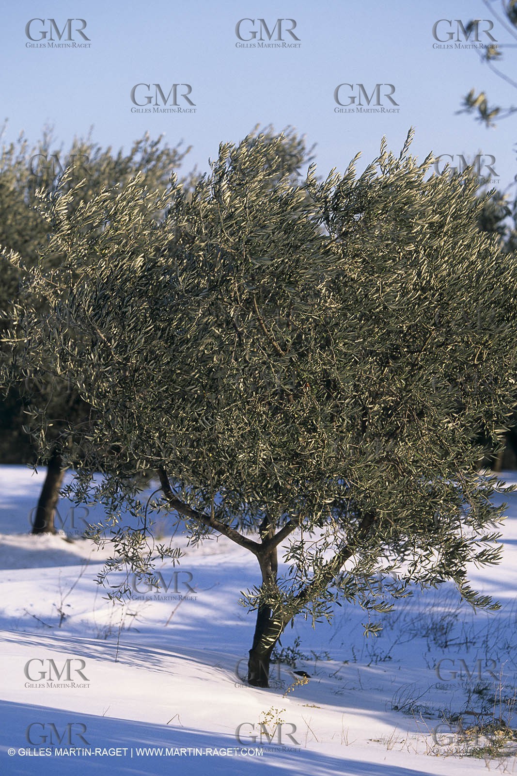 Provence under snow - Baux ed Provence