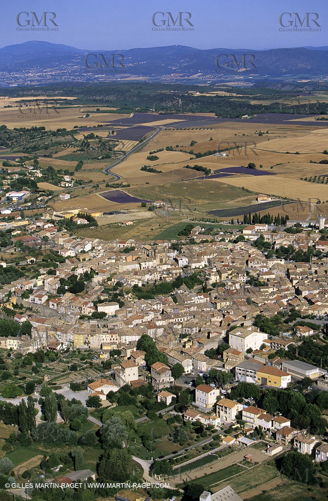 lavander fields , 2005  , Valensole plateau