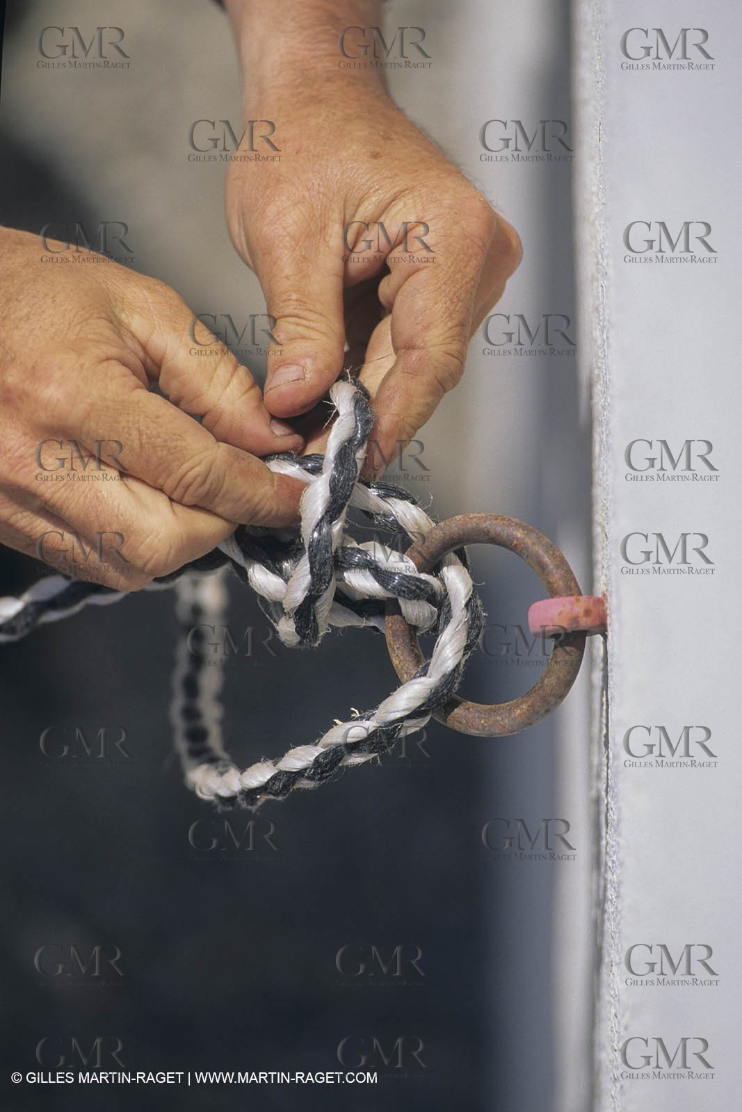 France, Provence, Camargue, Gardians de Camargue, métier, fêtes, élevage, tri