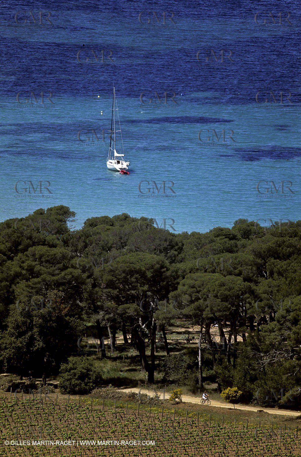 Var (83) - Iles d'Hyeres - Porquerolles