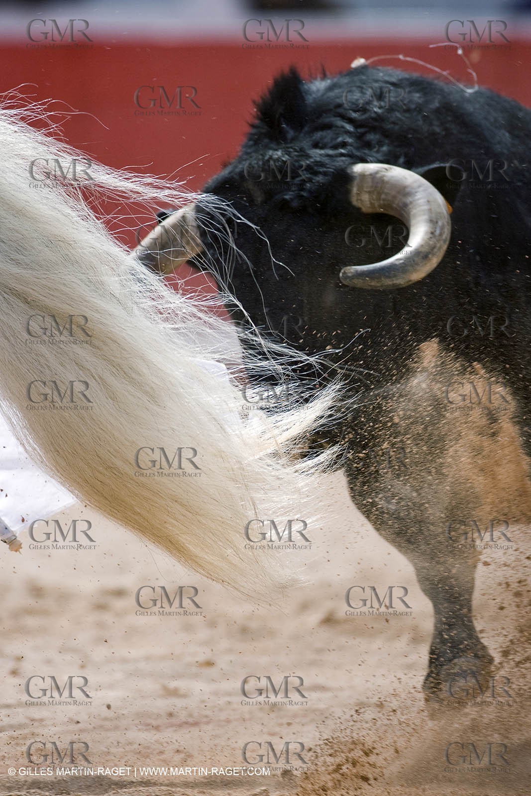 25 03 2008 - Arles (FRA, 13) - Feria 2008 - Bullfight with horses