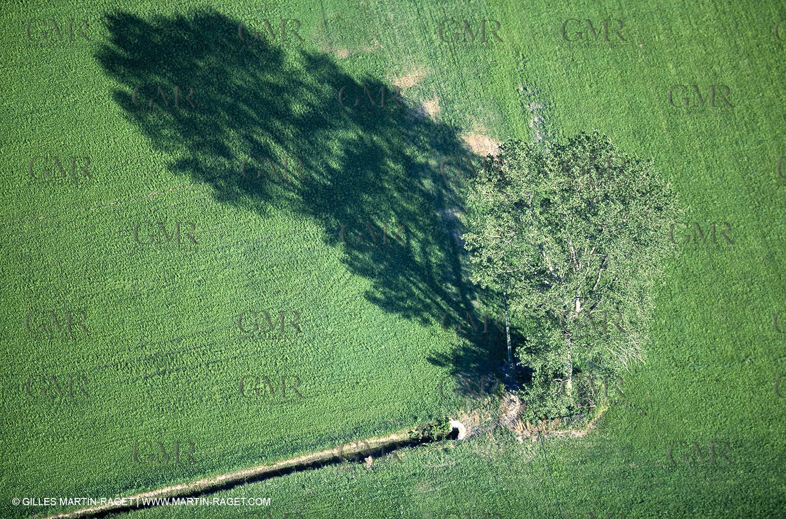 France, Provence, Plaine de la Crau