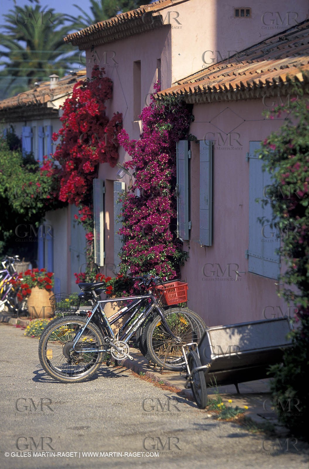 Porquerolles Island