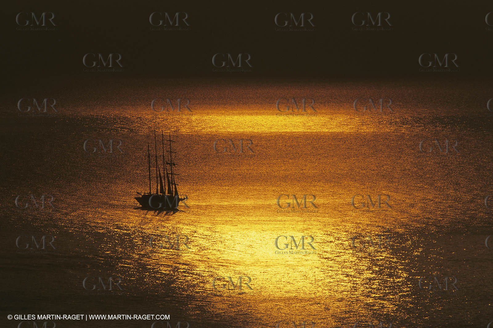 Paquebots, liners, cruise ships