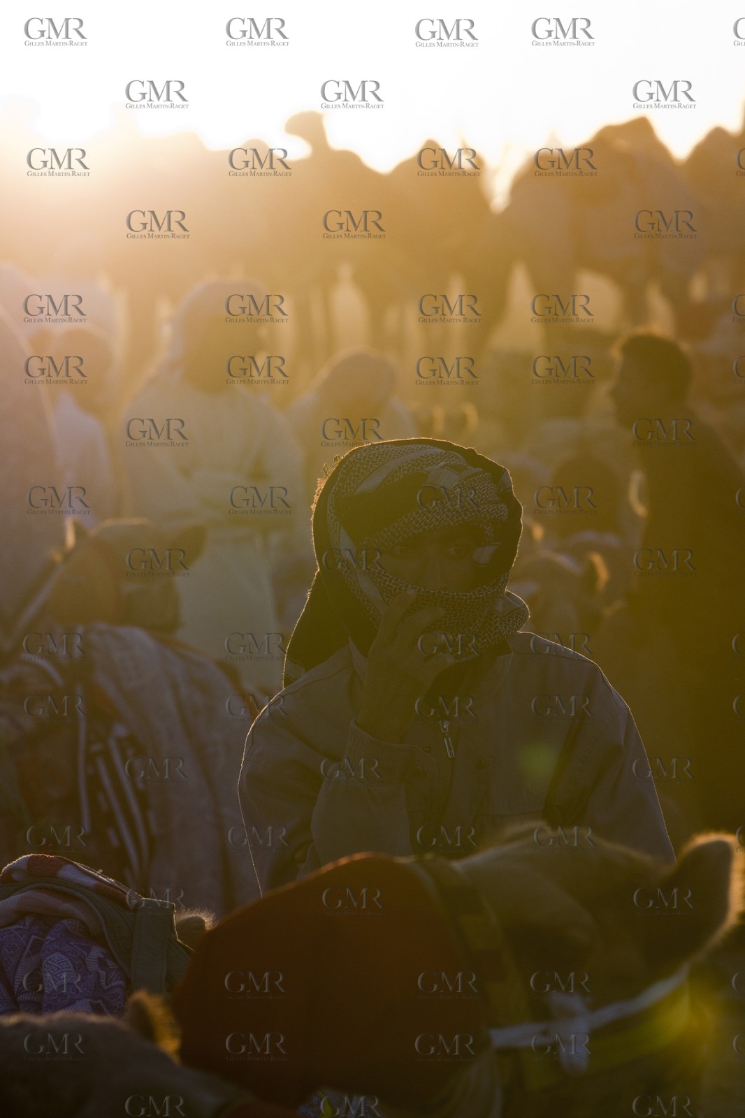 20 11 2010 - Dubai (UAE) - Camel races