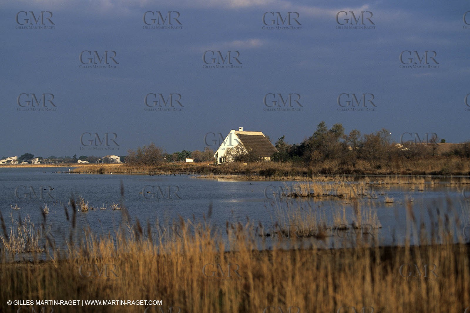 Camargue (FRA,13) - Gardians
