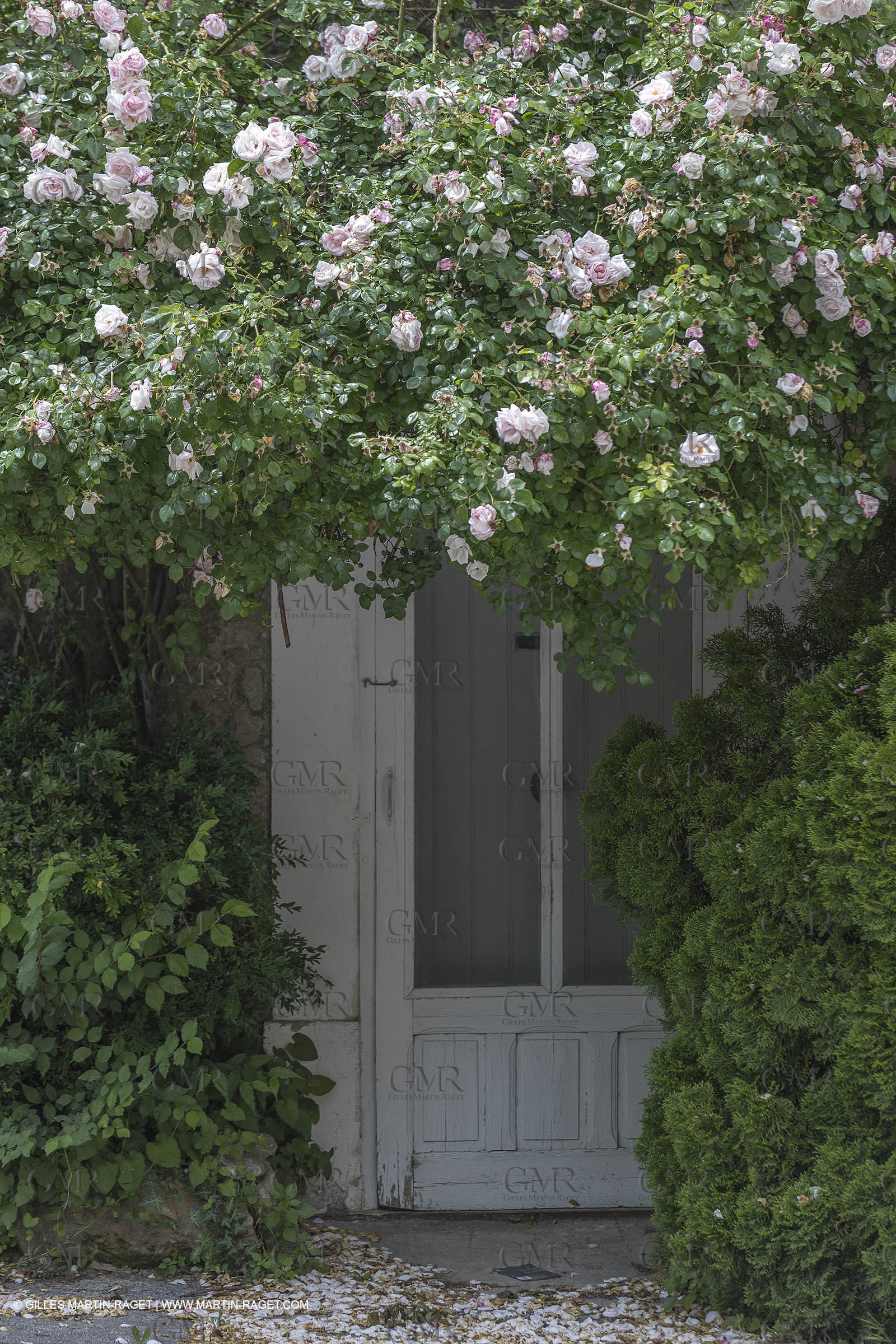 10 06 2018, Saignon (FRA,84)