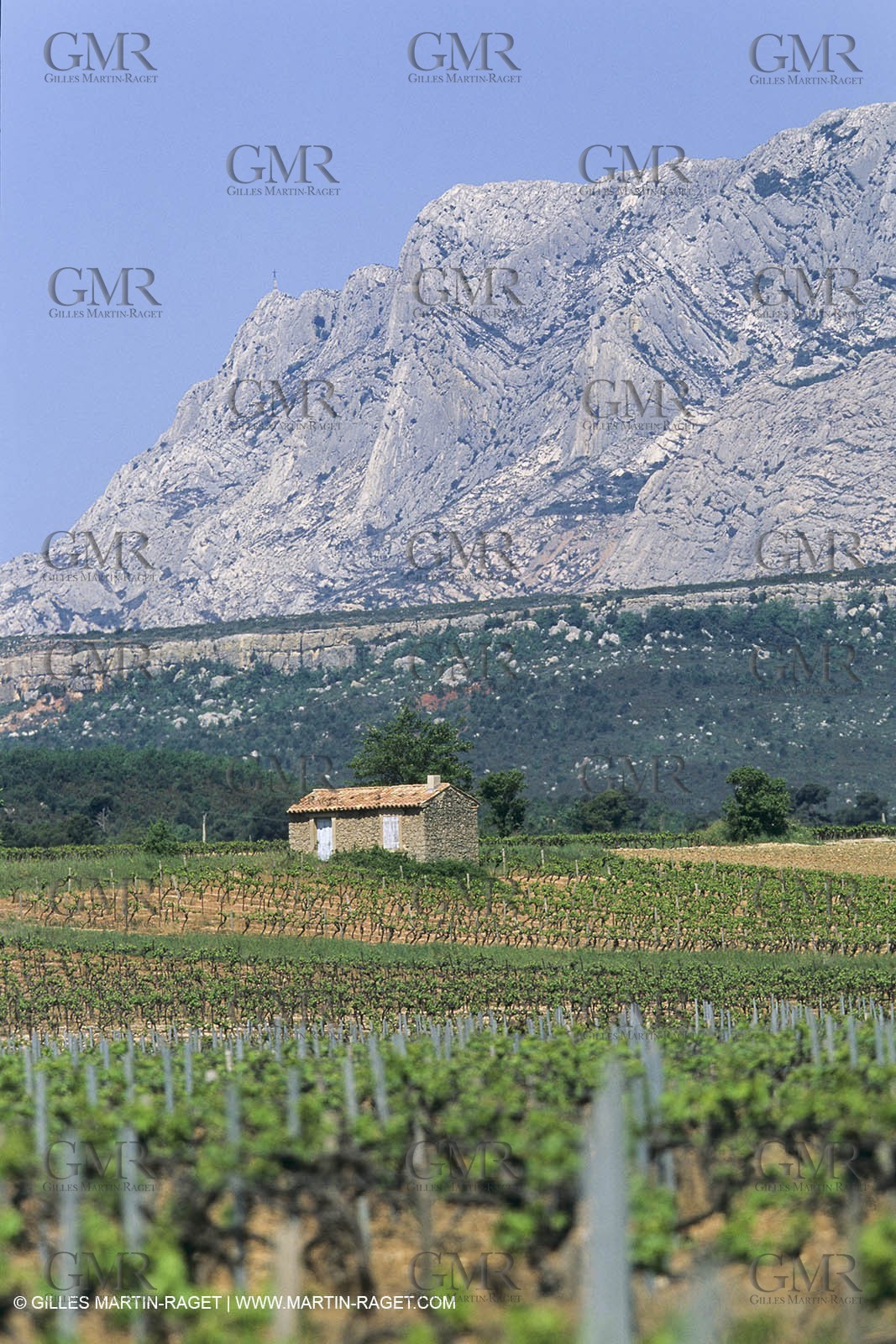 France, Provence, Pays d'Aix en Provence, vignoblmes des coteaux d'Aix, Côtes de Provence