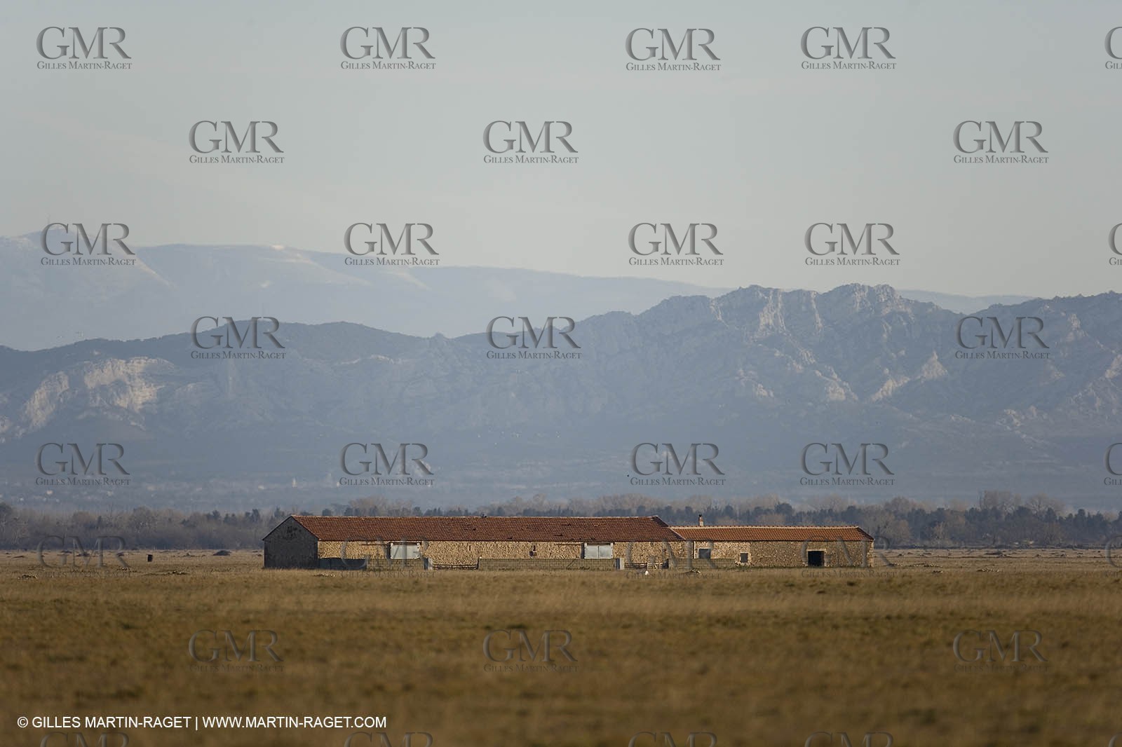 04 03 2007 - Saint Martin de Crau (FRA) - la Crau plain with Alpilles hills and Mont Ventoux in background.