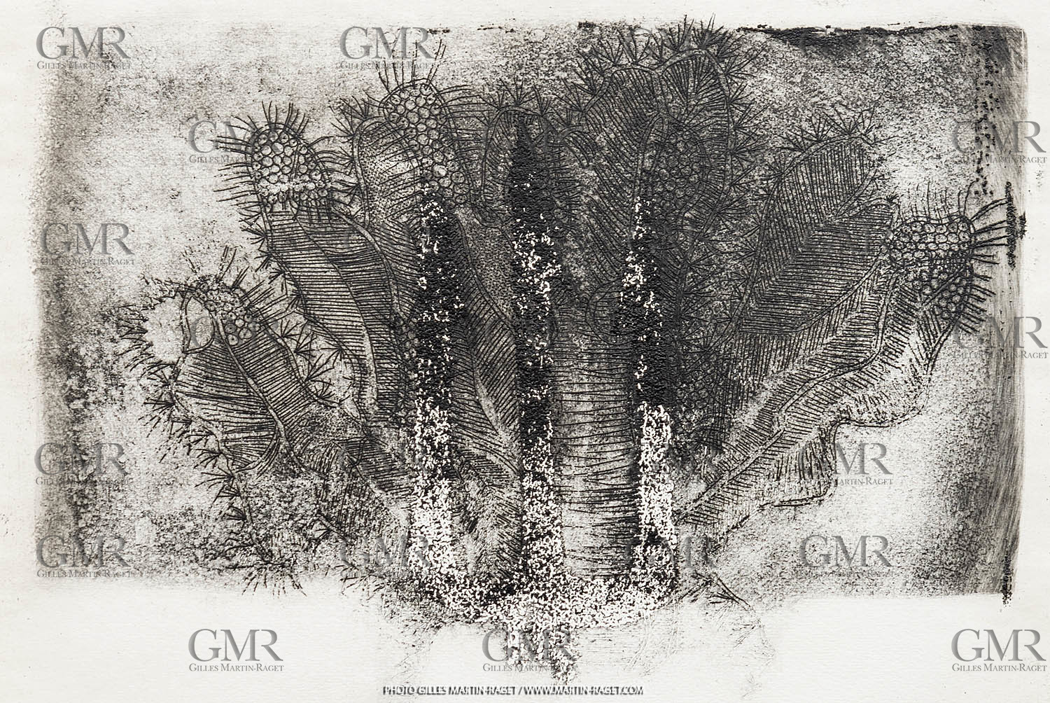 12 07 2020, St Rémy de Provence (FRA, 13) Oeuvre Germaine Richier, gravure