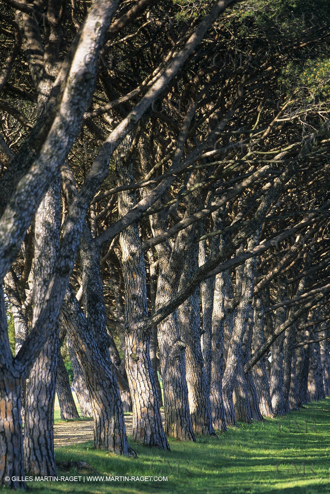 Paysages de Nîmes Métropole (FRA,30) -Costières
