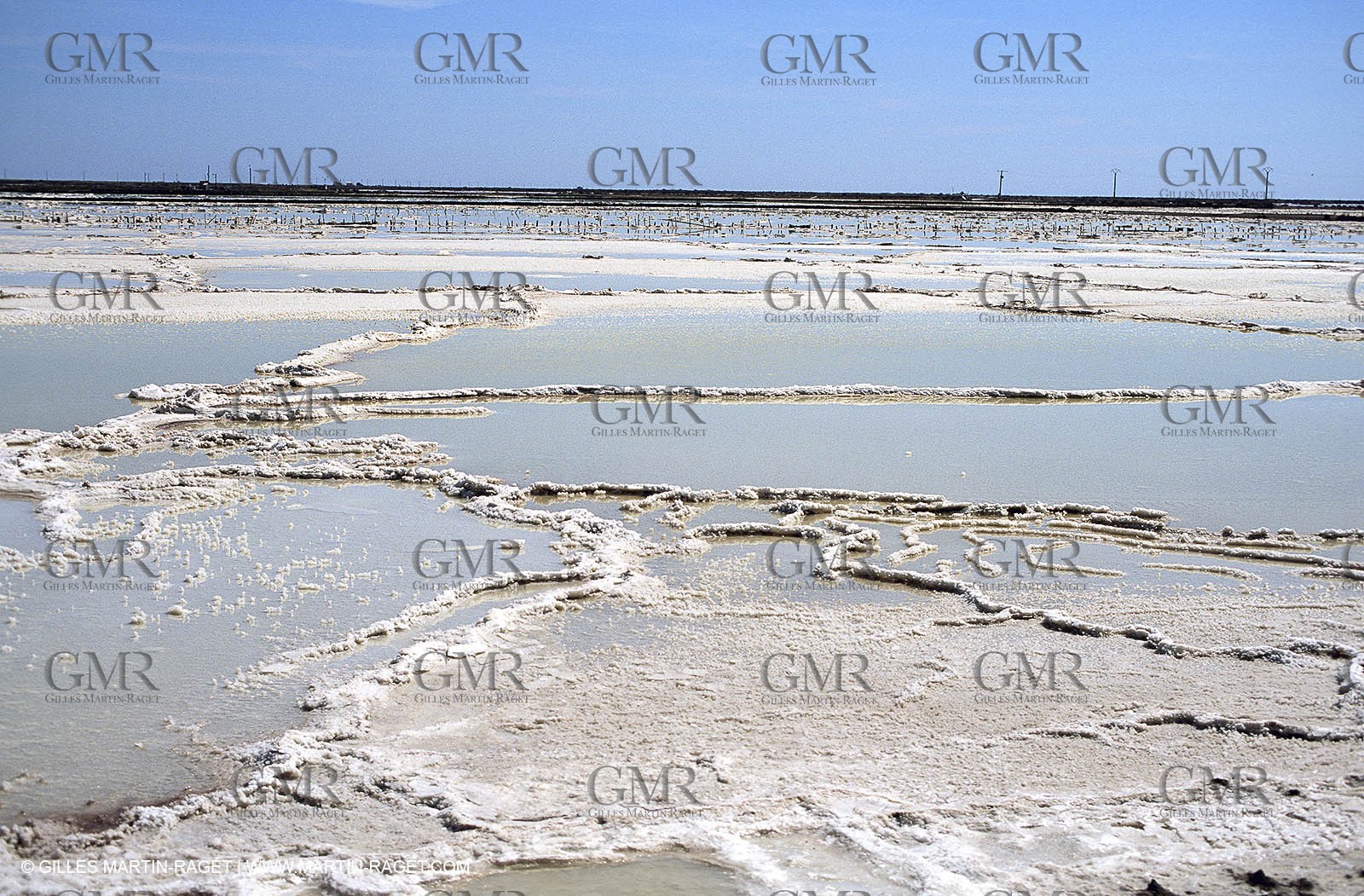 Salt-water marsh