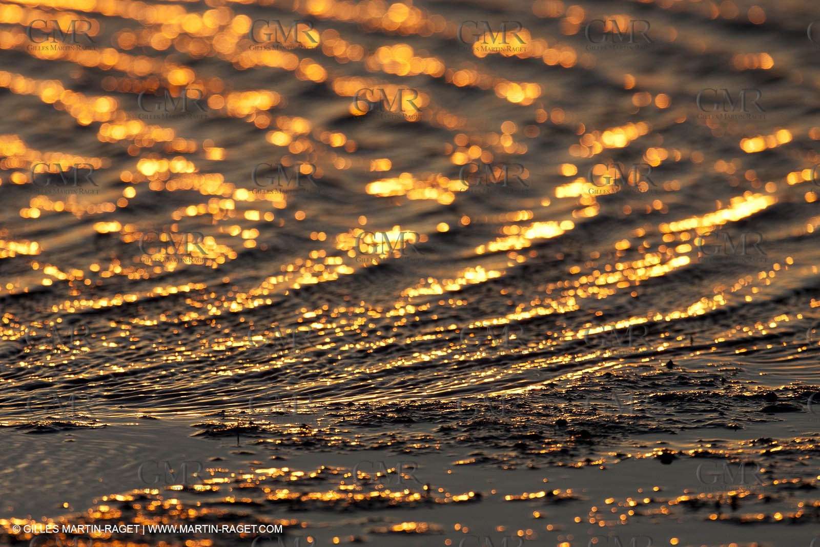 25 05 2011 - Les Saintes Maries de la Mer (FRA,13) - Fête des Gitans