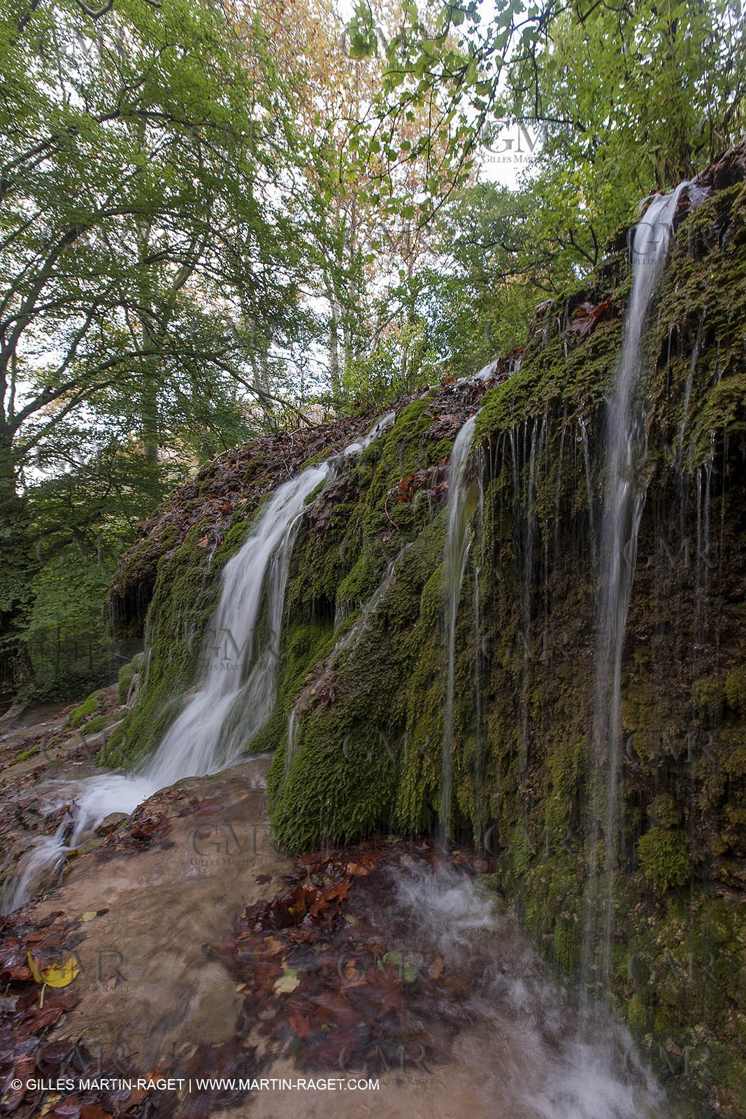 23 10 2012 - Gemenos (FRA) - Parc Départemental de la vallée de Saint Pons