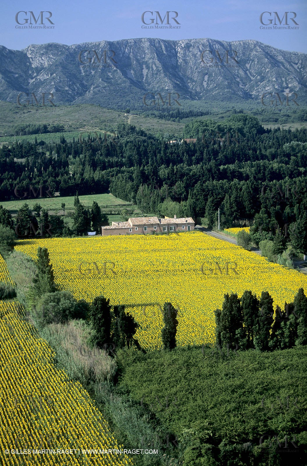 Alpilles countryside