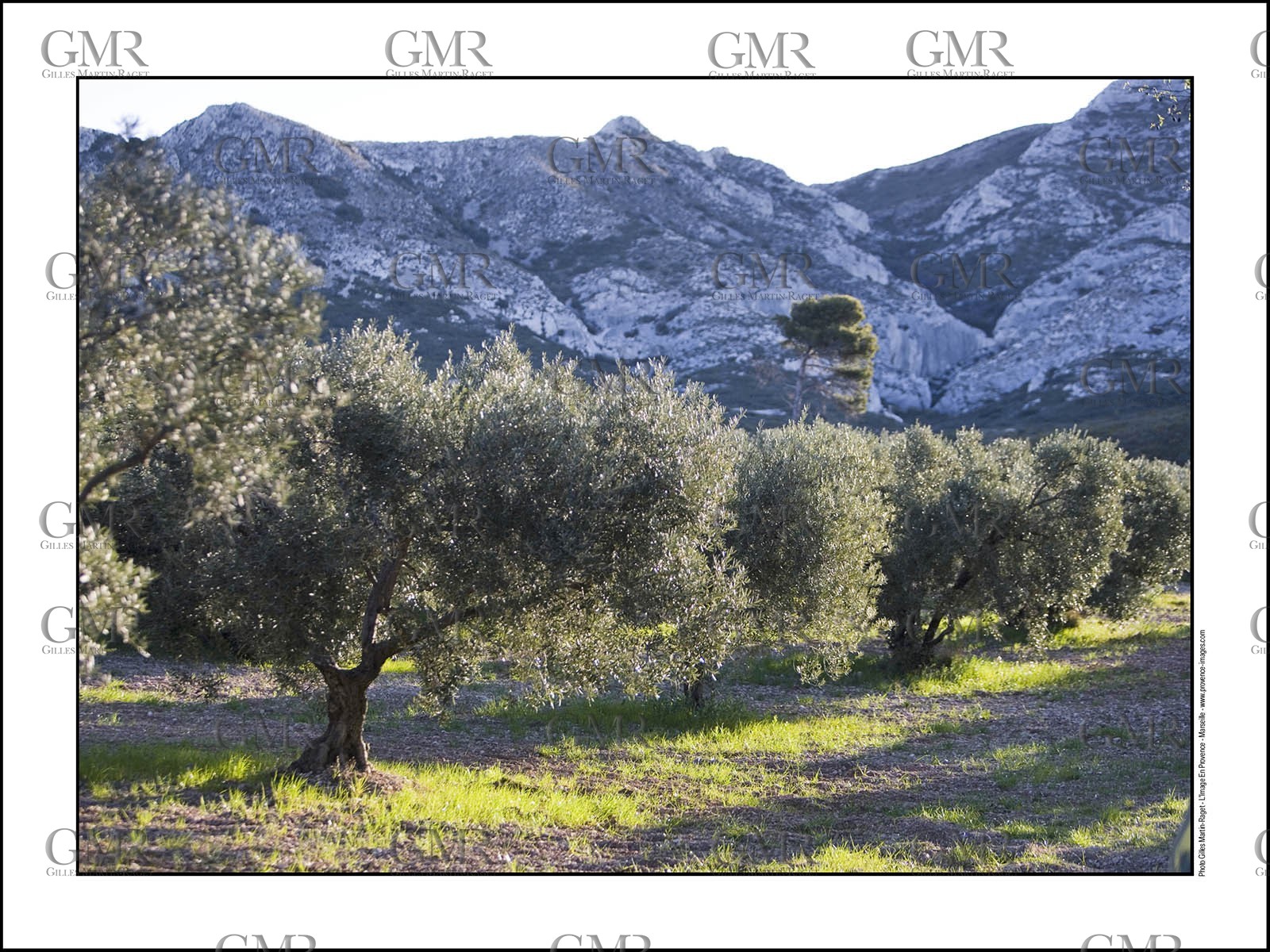 Alpilles