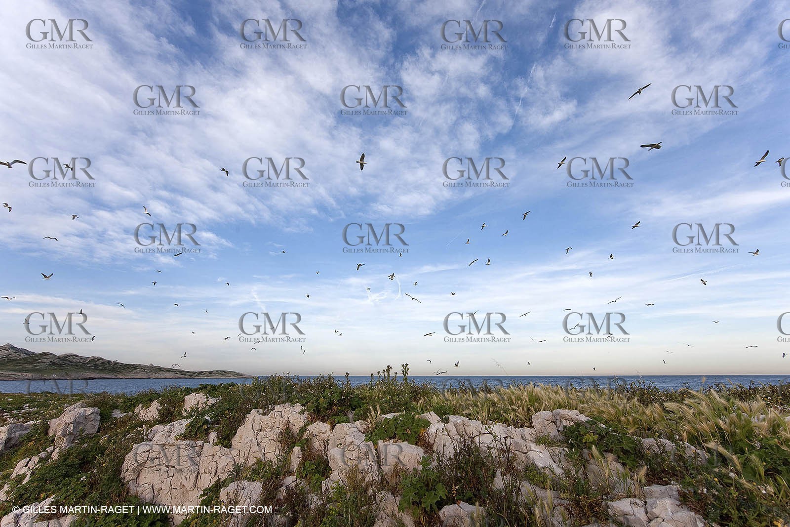06 05 2009 - Marseille (FRA, 13) - Les Calanques - Plane Island
