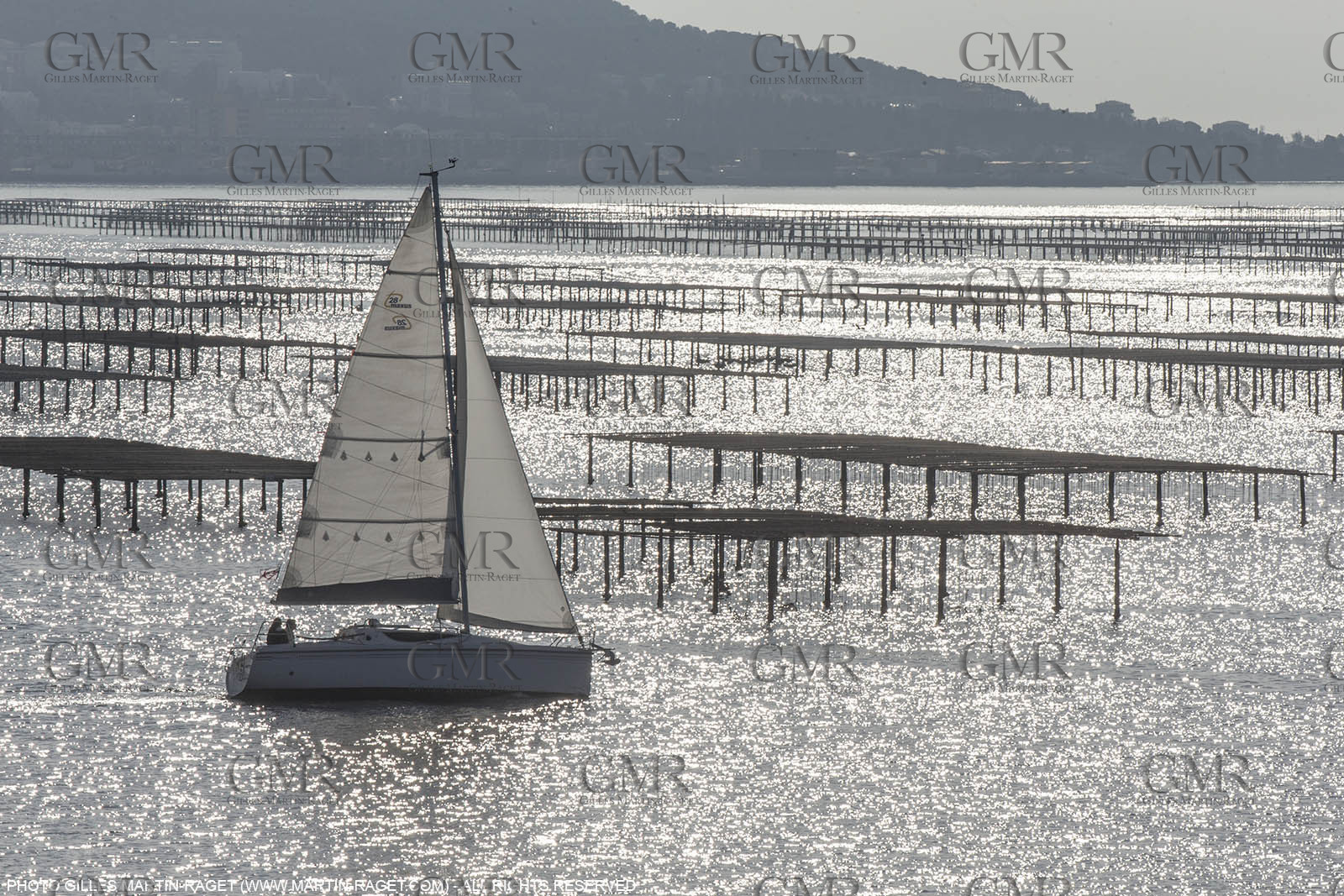 28 01 2016, Sète (FRA,34), Cruising on Thau Basin