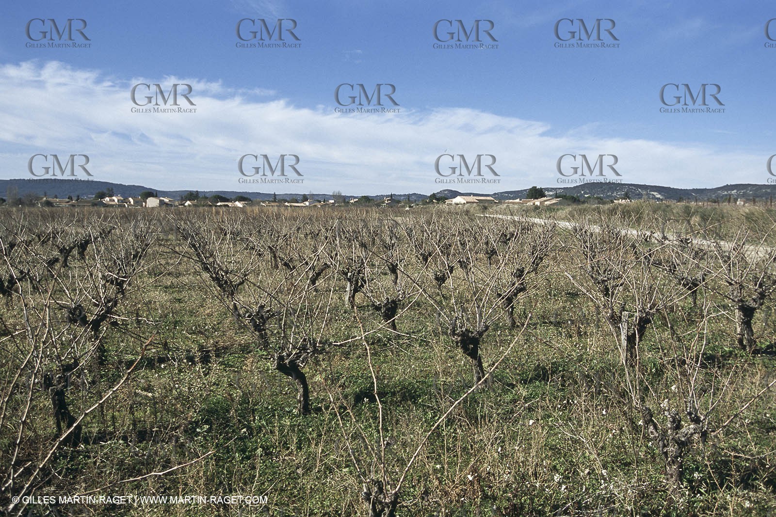 Nîmes Métropole landscapes (FRA,30) - Vaunage
