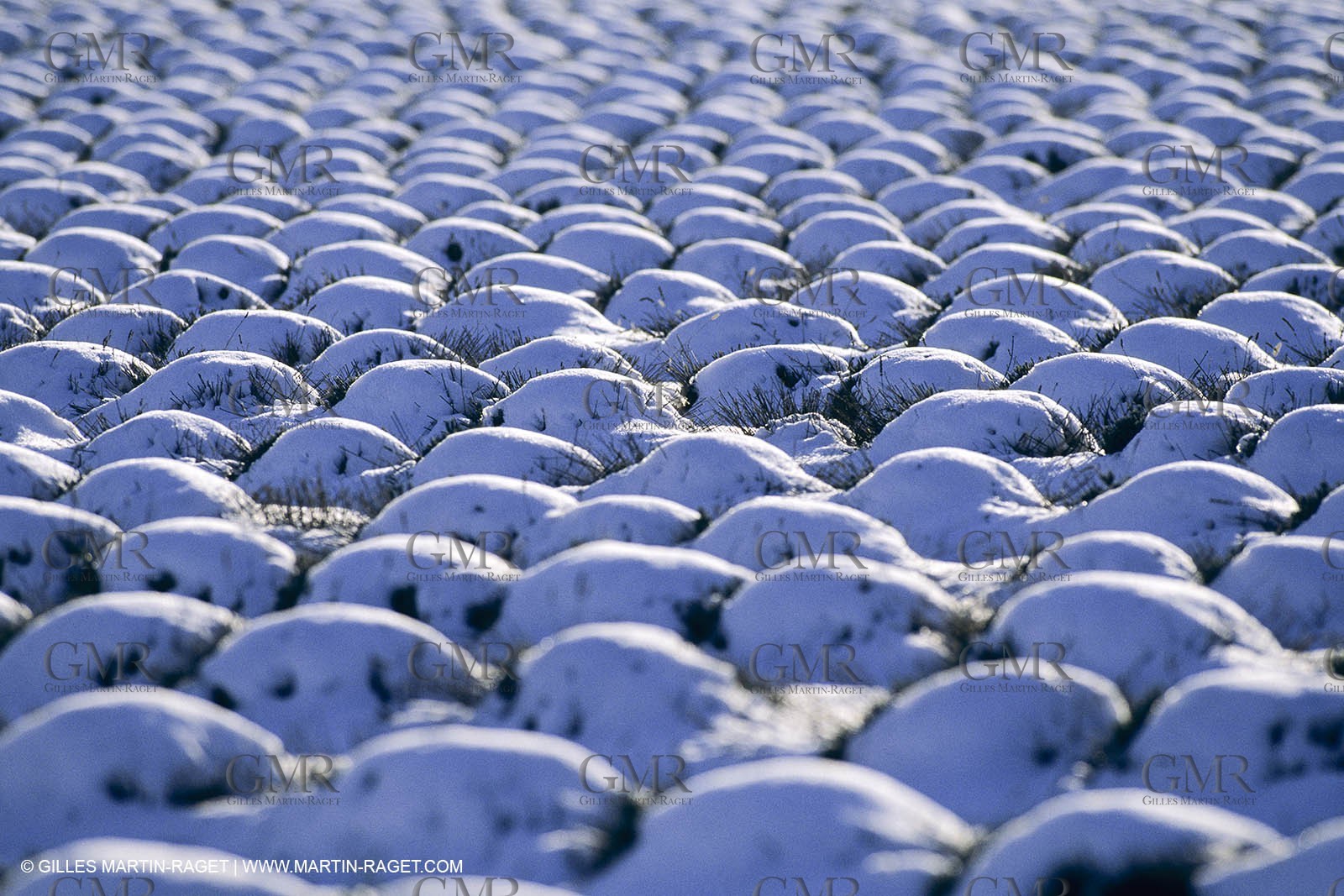 Provence under snow