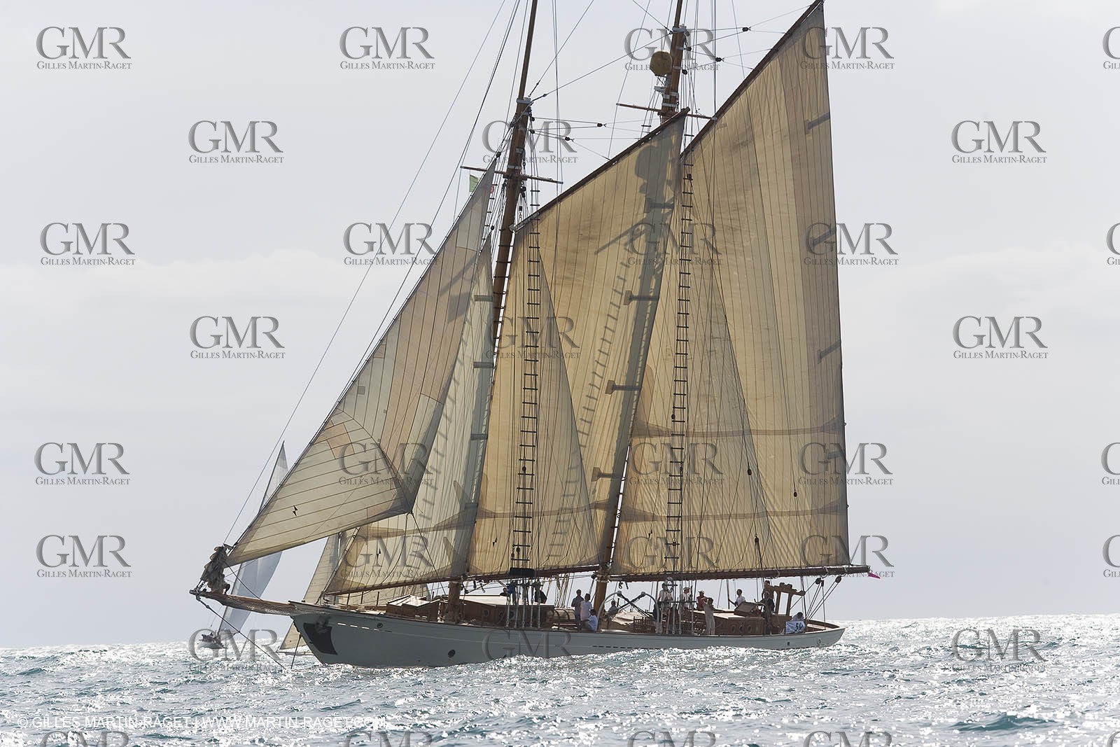 YC9H4615.JPG