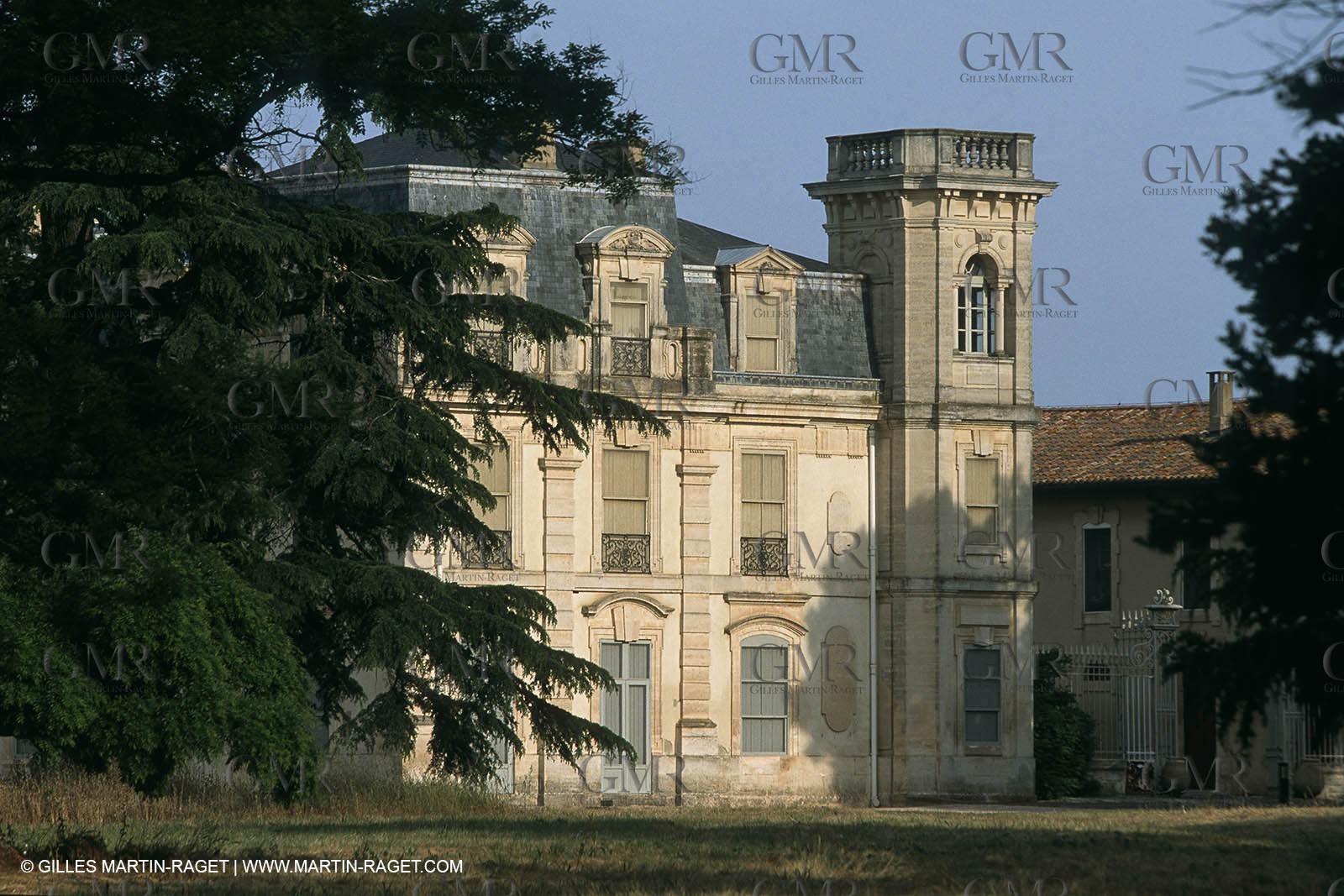 Camargue (FRA,13) - Little Camargue