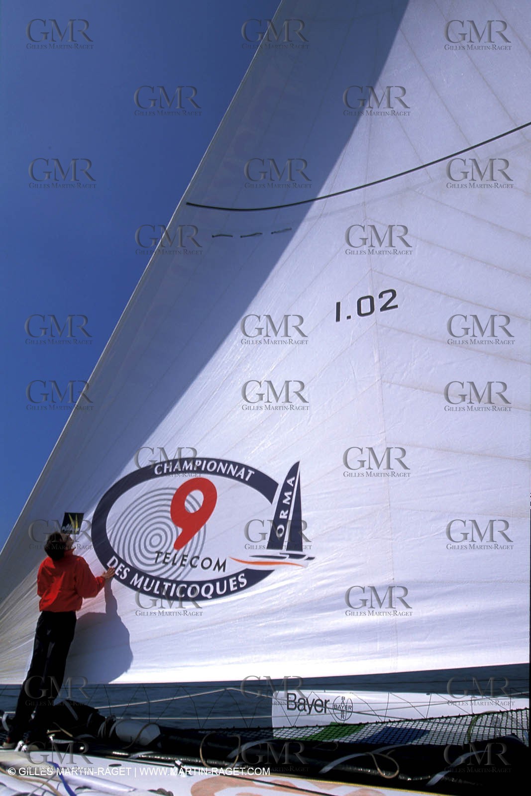 RhuMulti29.jpg