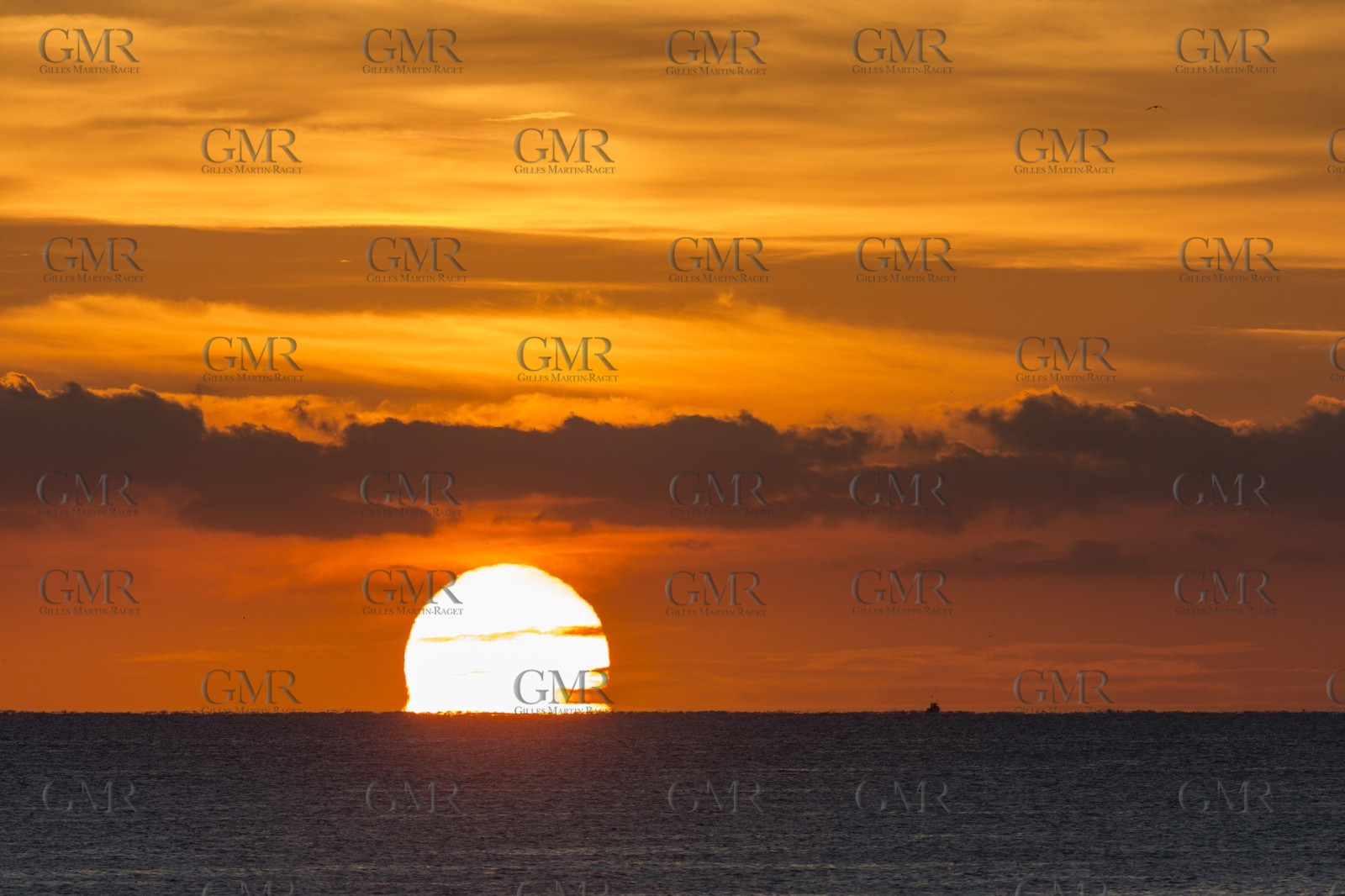 11 10 2014, Alicante (ESP), Volvo Ocean Race 2014-15, Team Alvimedica