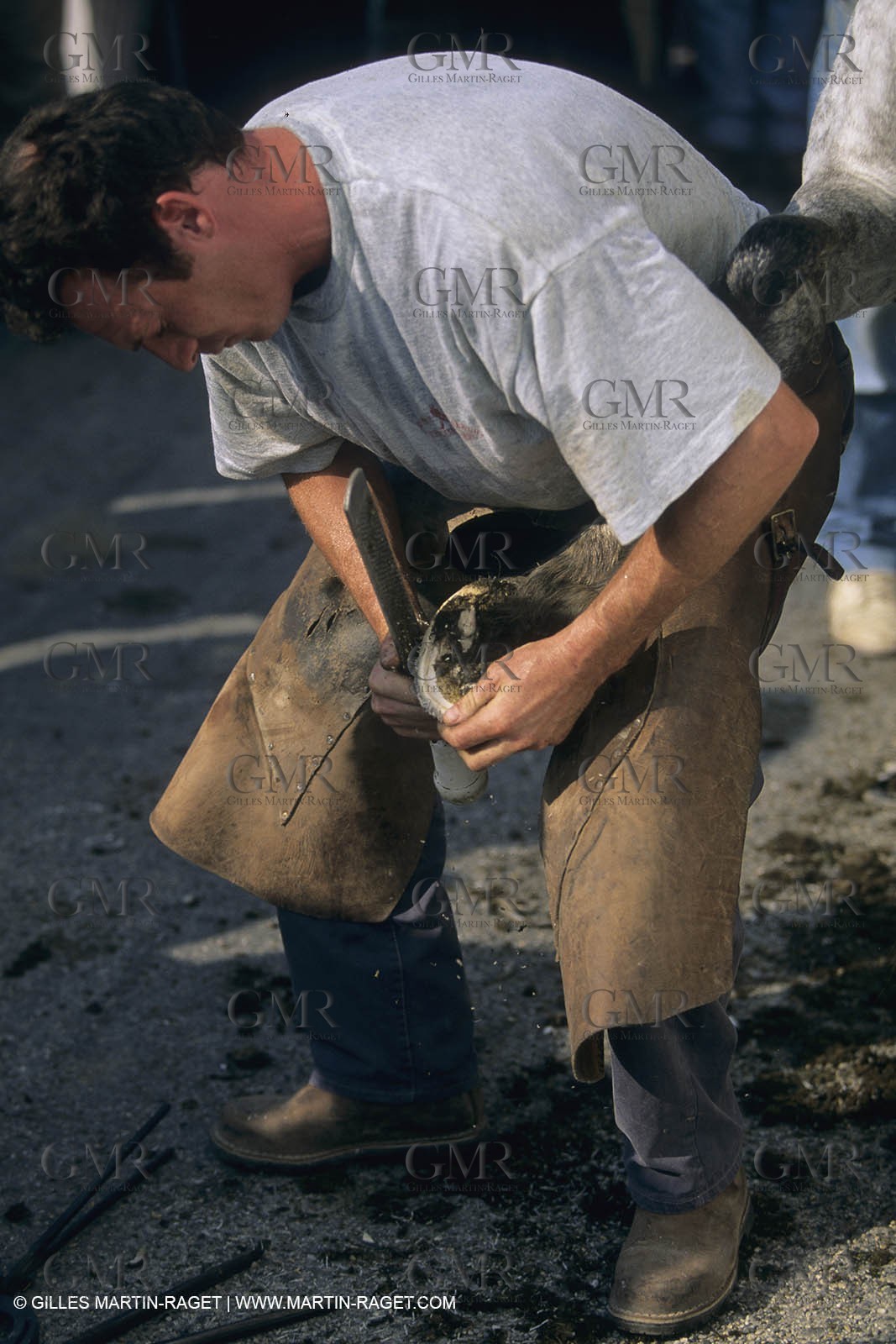 France, Provence, Camargue, Gardians de Camargue, métier, fêtes, élevage, tri