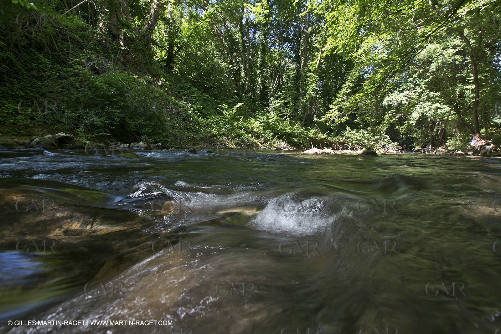 15 06 2012 - L'Huveaune à Auriol (FRA,13)