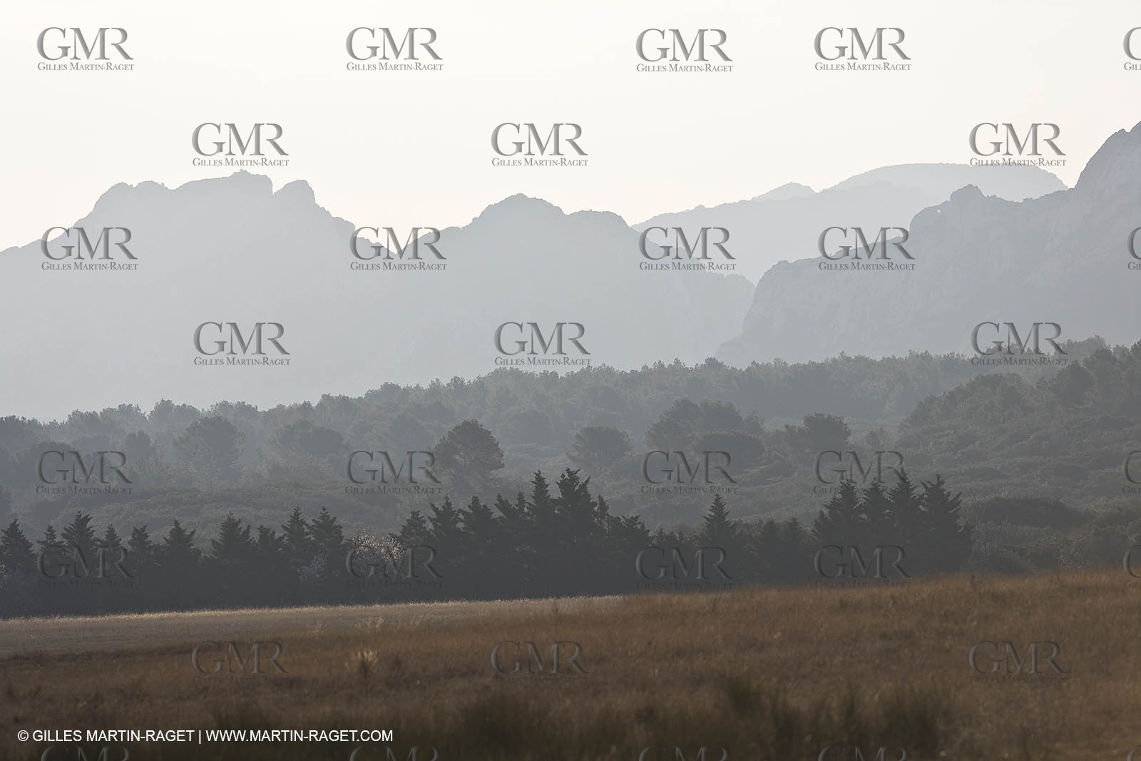 22 02 2008 - Mouriès (FRA, 13) - Alpilles hills landscapes