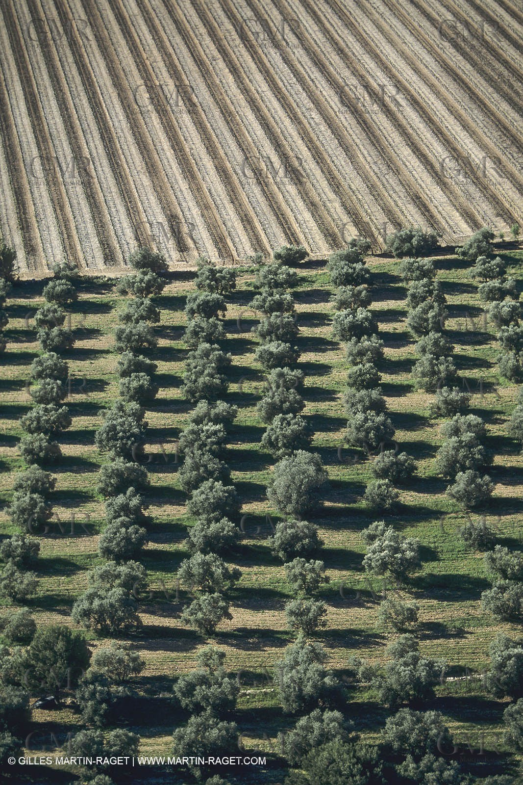 France, Provence, Etang de Berre