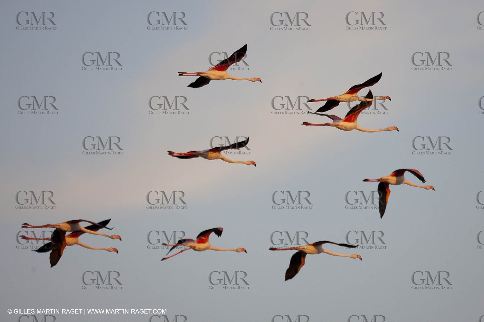 25 05 2011 - Les Saintes Maries de la Mer (FRA,13) - Fête des Gitans