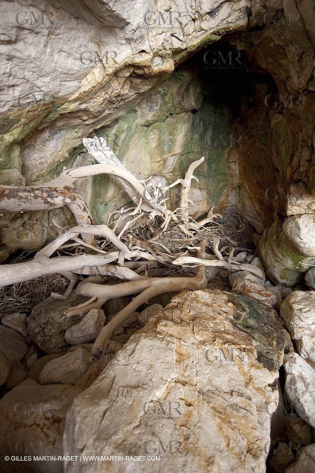 29 07 2009 - Marseille (FRA, 13) - Les Calanques - Canceou creek