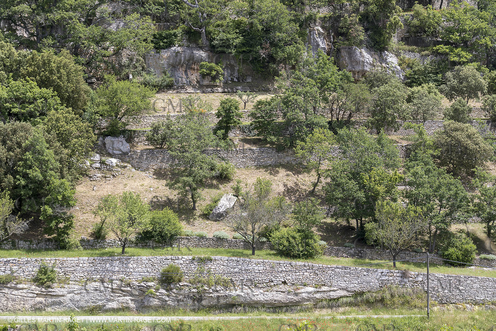 10 06 2018, Sivergues (FRA,84)