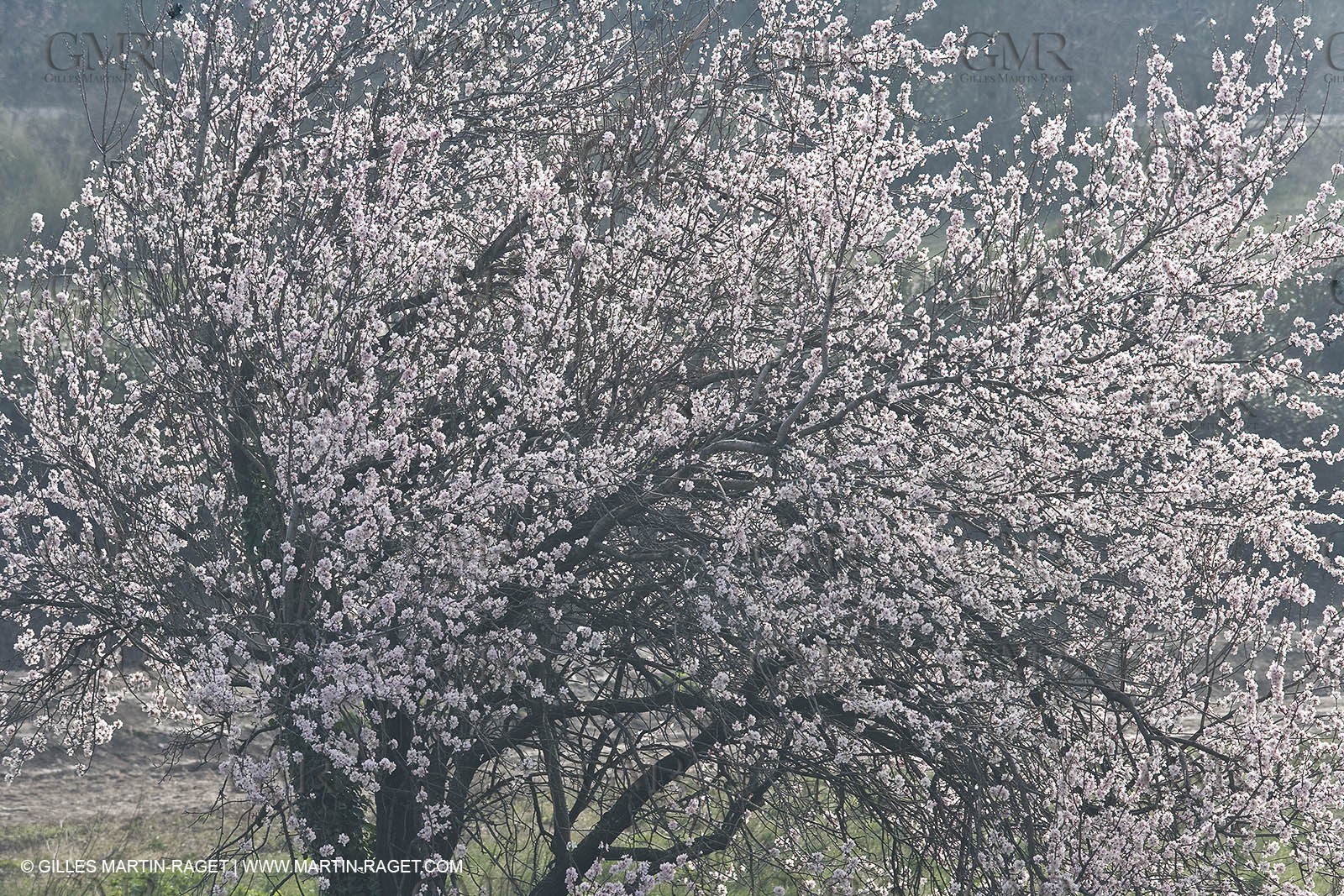 16 02 2008 - Les Baux de Provence (FRA, 13) - Alpilles hills landscapes